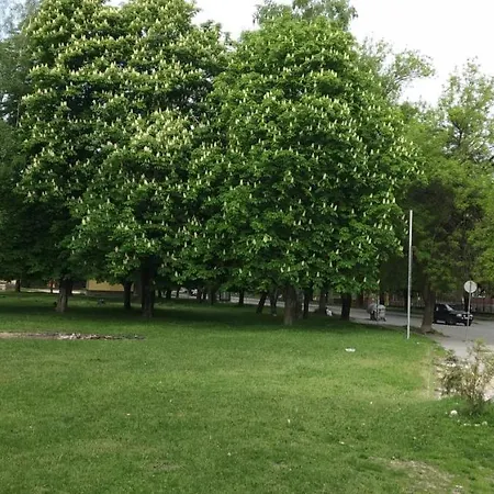 Maison d'hôtes за гости върбани 3*