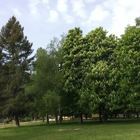 за гости върбани Pensionat 3*