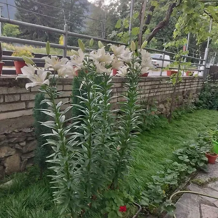 Maison d'hôtes за гости върбани 3*