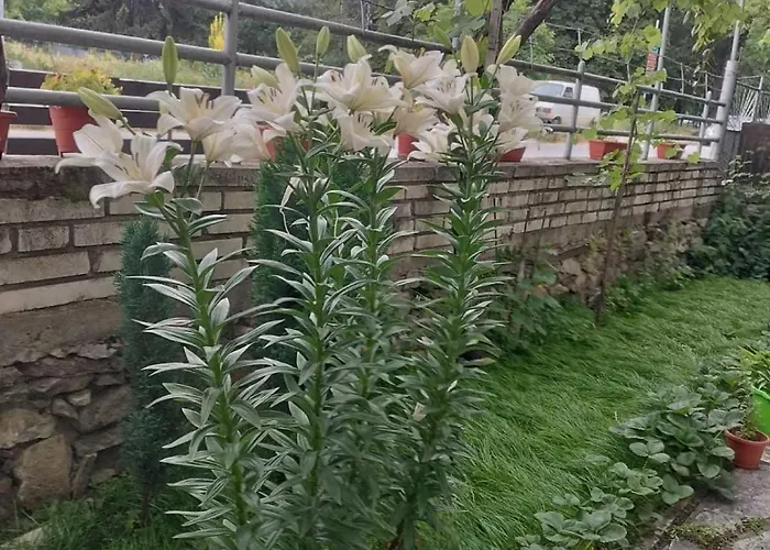 Maison d'hôtes за гости върбани 3*